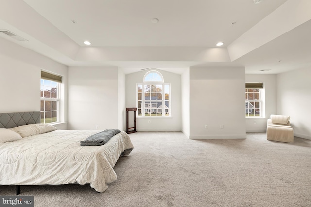 11108 King Gallahan Ct, Clinton, MD 20735 - bedroom featuring multiple windows and a raised ceiling