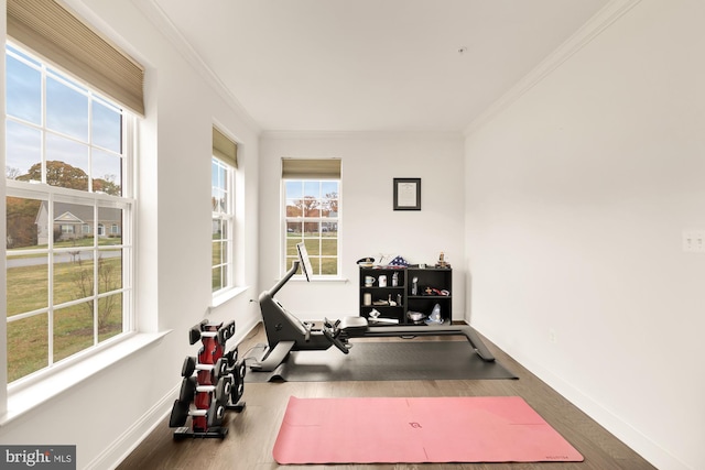 11108 King Gallahan Ct, Clinton, MD 20735 - workout room featuring baseboards, ornamental molding, and wood finished floors