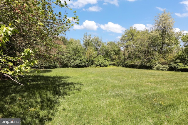 1602 Blacksmith Ln, Herndon, VA 20170 - view of grassy yard