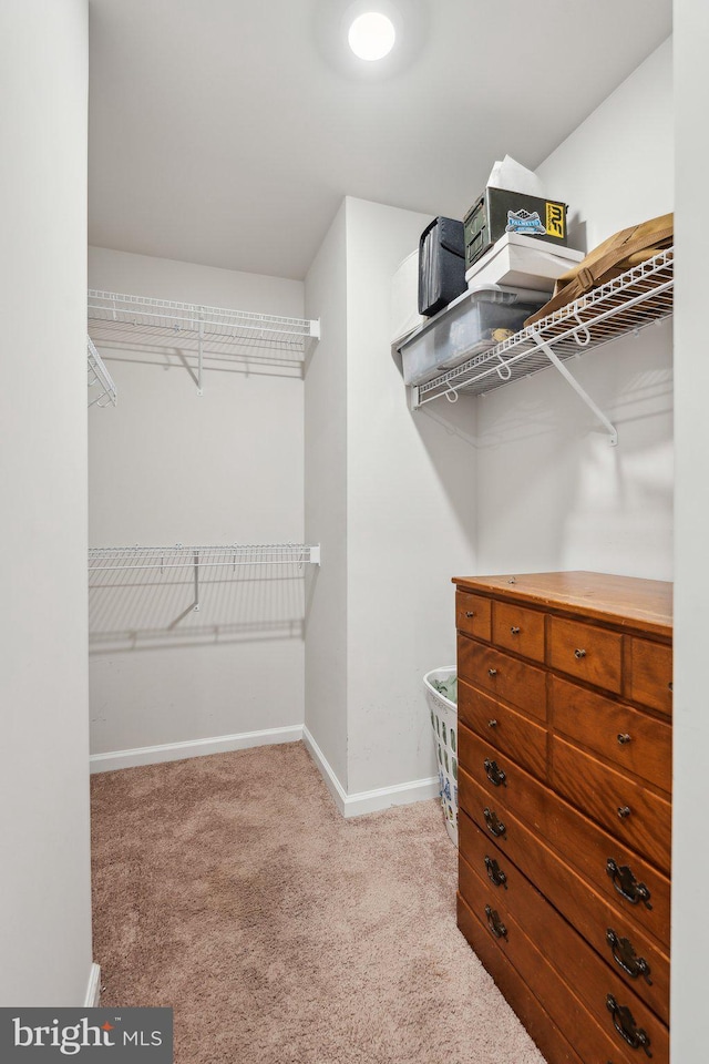 17026 Rollins Rd, Bowling Green, VA 22427 - spacious closet featuring carpet floors