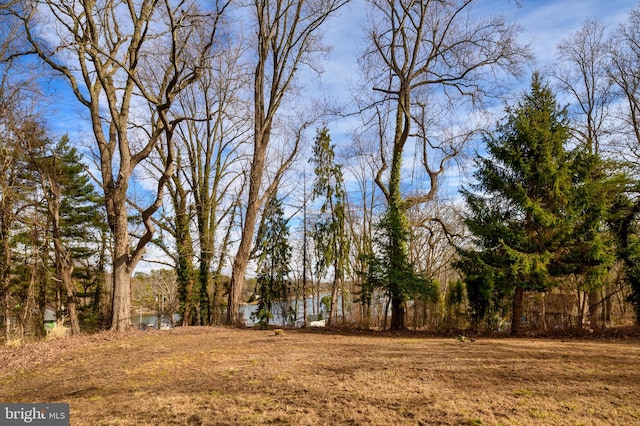1634 Orchard Beach Rd, Annapolis, MD 21409 - view of yard