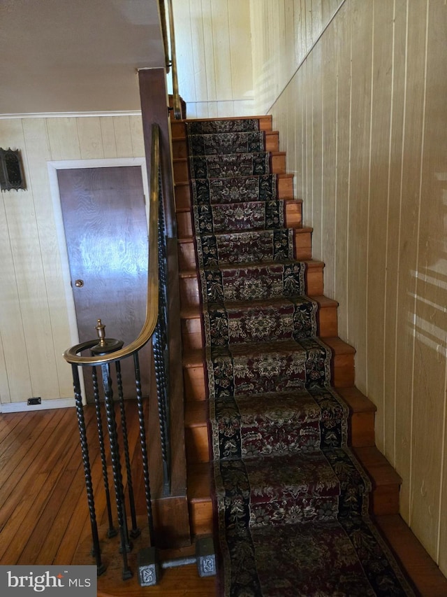 stairway featuring wooden walls and wood-type flooring