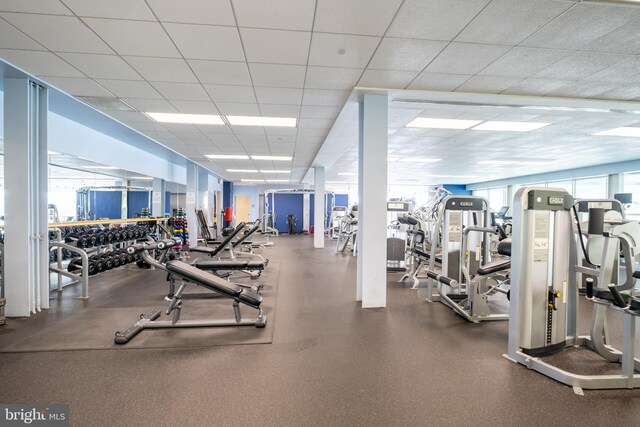 gym with a paneled ceiling