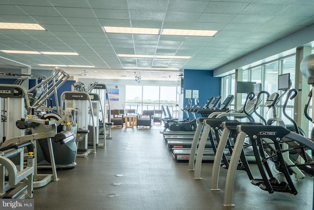 gym featuring a drop ceiling