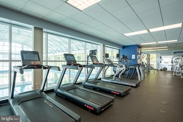 gym featuring a healthy amount of sunlight and a paneled ceiling