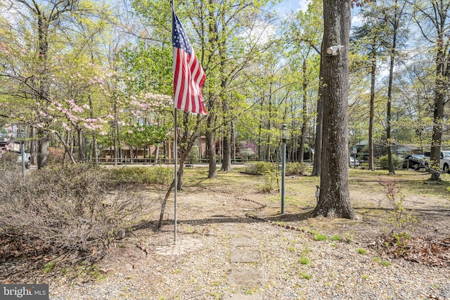 4812 Maury Ln, Alexandria, VA 22304 - view of yard