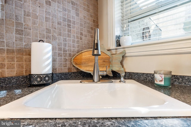 interior details featuring a sink and dark countertops