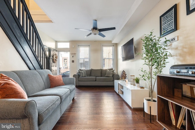 living room with stairs, ceiling fan, and dark wood-style floors