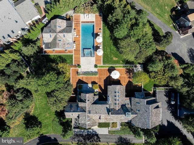 bird's eye view