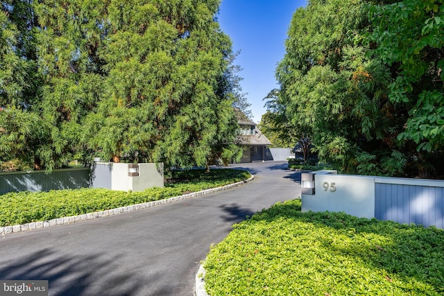 view of street with aphalt driveway