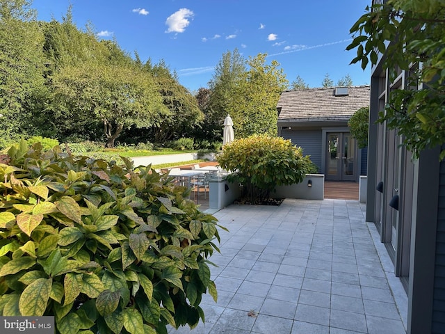 view of patio / terrace featuring french doors