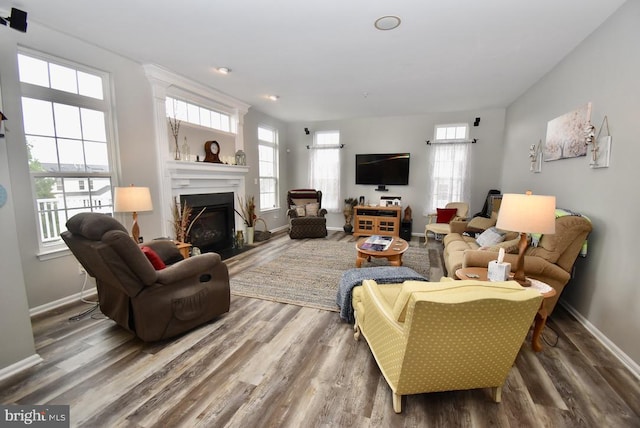 living area featuring baseboards, wood finished floors, and a fireplace