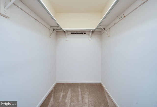 spacious closet with carpet floors