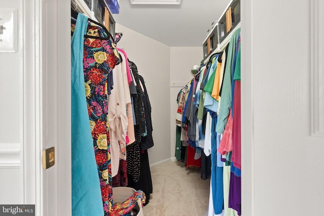 20665 Shoal Pl, Sterling, VA 20165 - walk in closet featuring light colored carpet and attic access