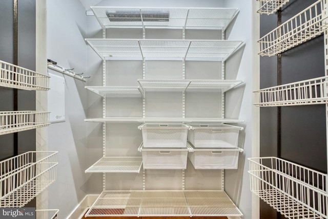 view of walk in closet