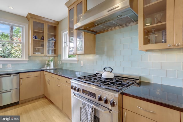 kitchen featuring a healthy amount of sunlight, appliances with stainless steel finishes, light wood-style floors, and extractor fan