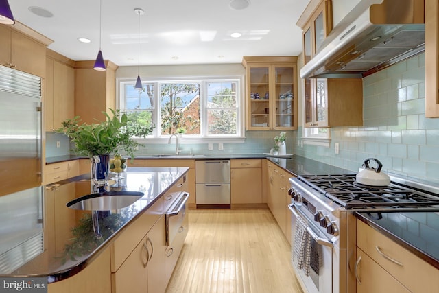kitchen with high quality appliances, light wood-style flooring, under cabinet range hood, a sink, and dark stone countertops