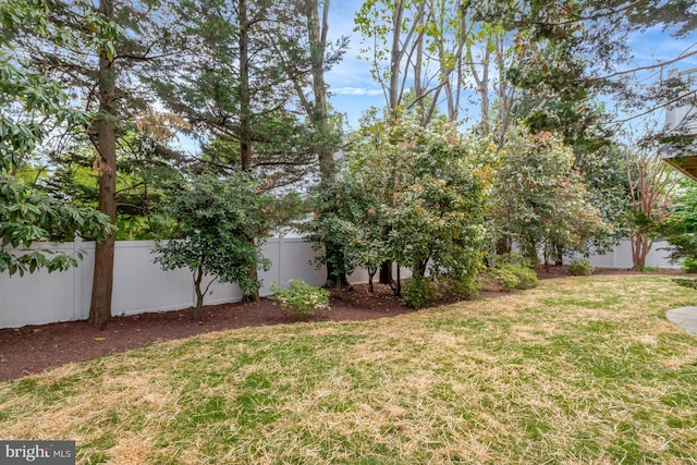 view of yard featuring a fenced backyard