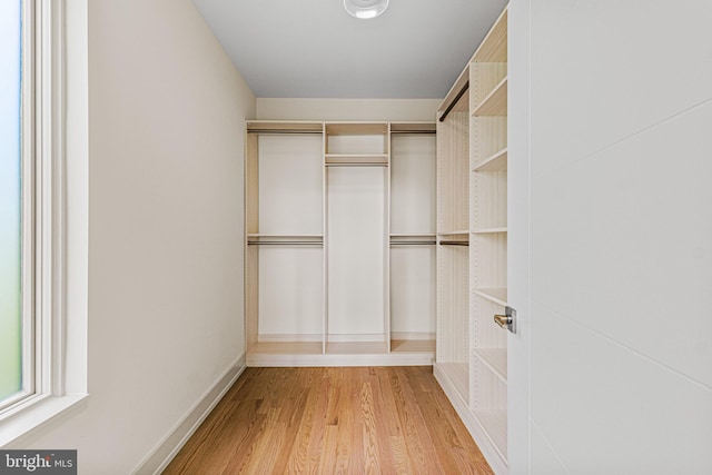 300 Ewing St, Princeton, NJ 08540 - spacious closet featuring light wood-type flooring