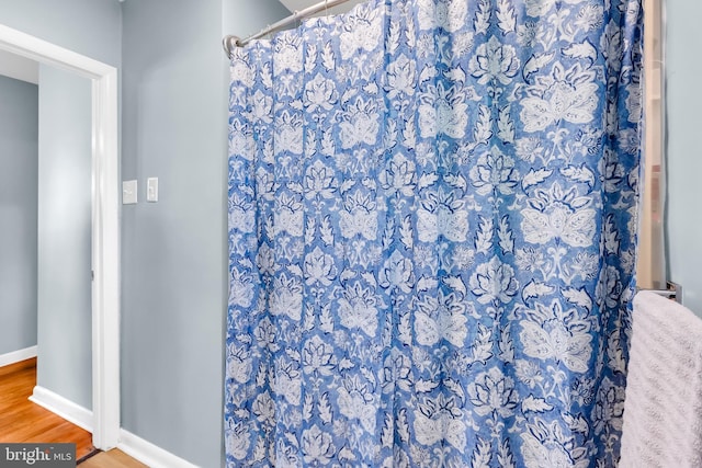 9 Central Ave, Pocomoke City, MD 21851 - bathroom featuring baseboards, wood finished floors, and a shower with shower curtain