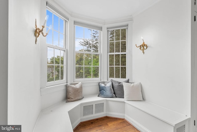 8300 Cedar Rd, Elkins Park, PA 19027 - mudroom featuring visible vents, wood finished floors, a wealth of natural light, and crown molding