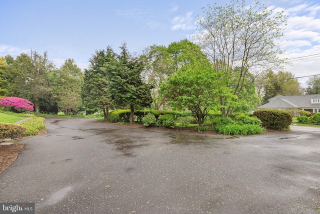 8300 Cedar Rd, Elkins Park, PA 19027 - view of road