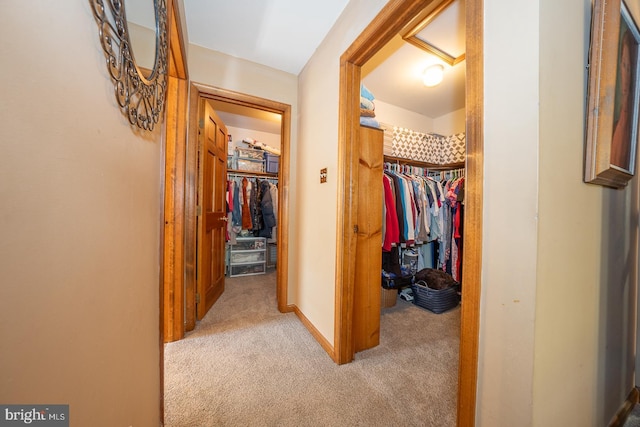corridor featuring carpet floors