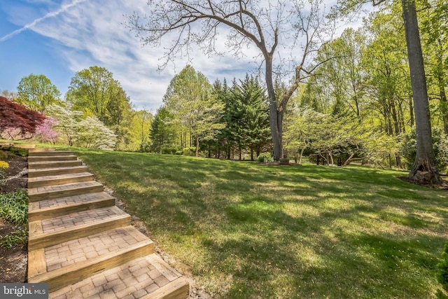 view of yard with stairs and a view of trees