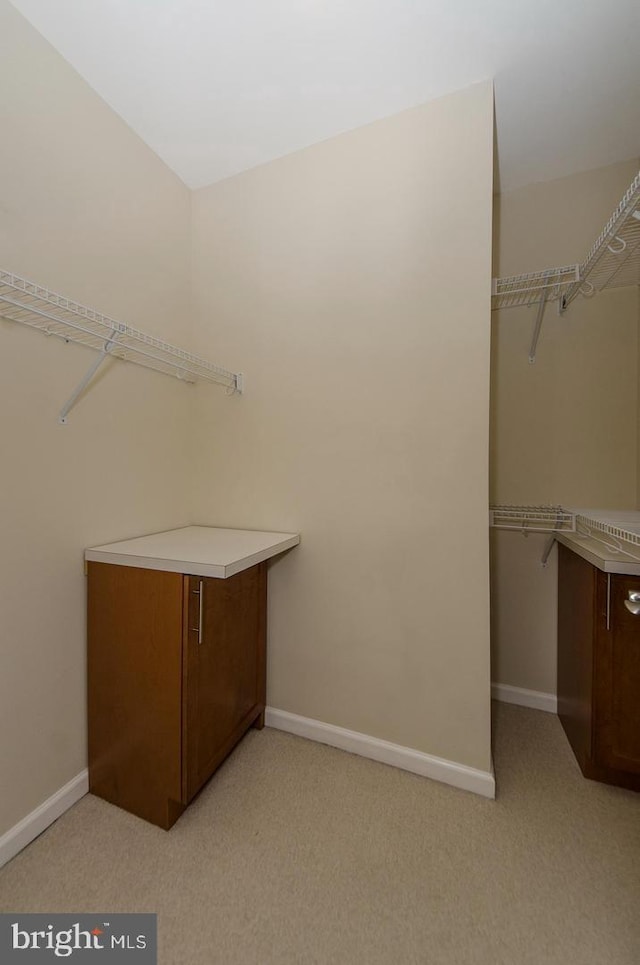 spacious closet featuring light colored carpet