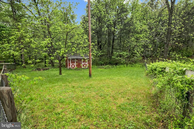 1112 Conservation Dr, Hedgesville, WV 25427 - view of grassy yard featuring a storage shed and an outdoor structure