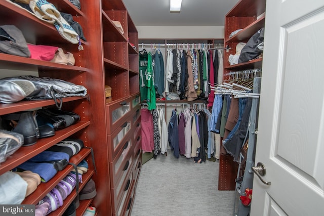 walk in closet featuring carpet floors
