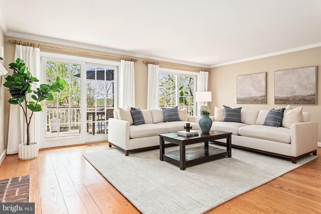 living area with ornamental molding and hardwood / wood-style floors