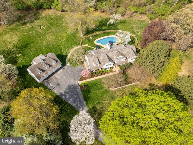 bird's eye view