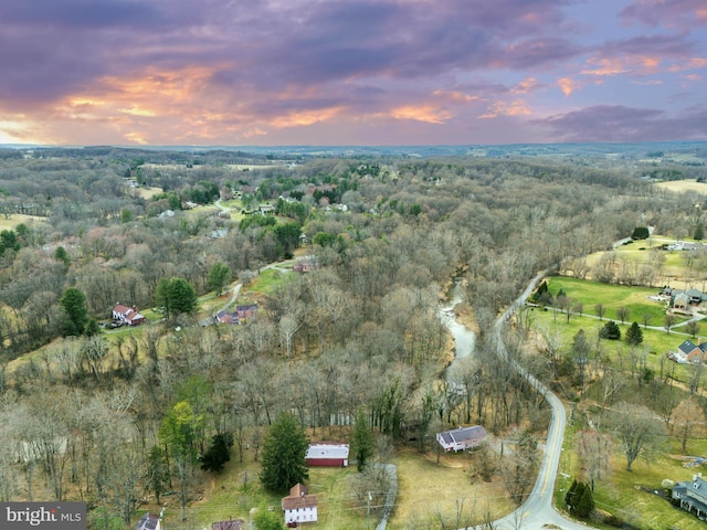 aerial view featuring a forest view