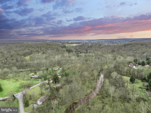 aerial view at dusk with a wooded view