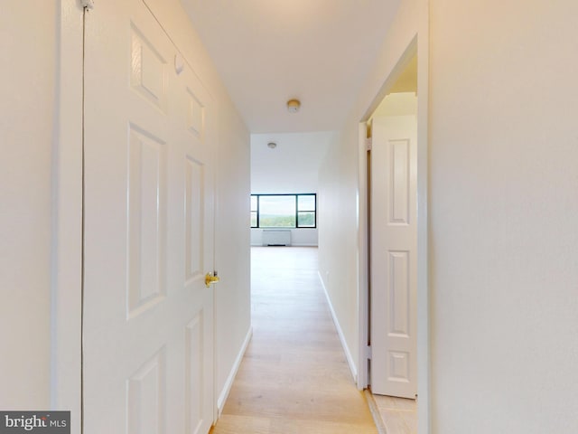 4600 Duke St Unit 1018, Alexandria, VA 22304 - corridor with baseboards and light wood-style flooring