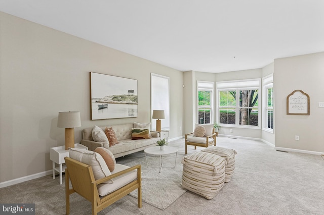 10232 Rutland Round Rd Unit 24, Columbia, MD 21044 - living room featuring baseboards and carpet floors