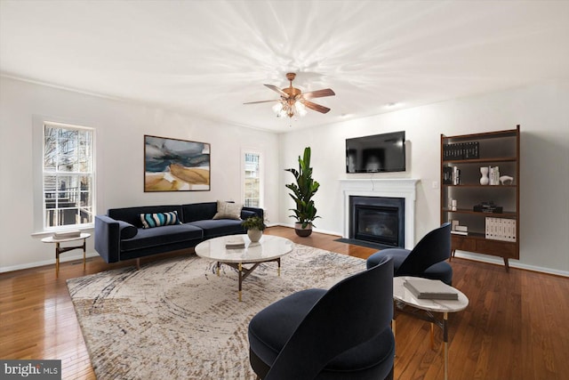 1201 Preserve Ln, Fredericksburg, VA 22401 - living area with baseboards, wood finished floors, a wealth of natural light, and a fireplace with flush hearth