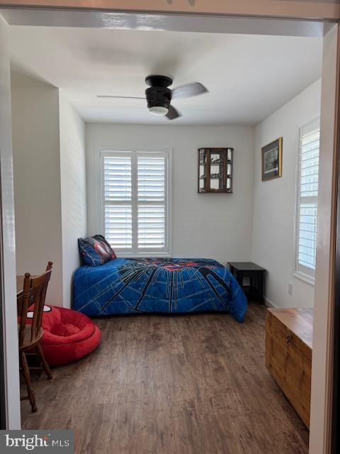 bedroom with a ceiling fan, wood finished floors, and multiple windows