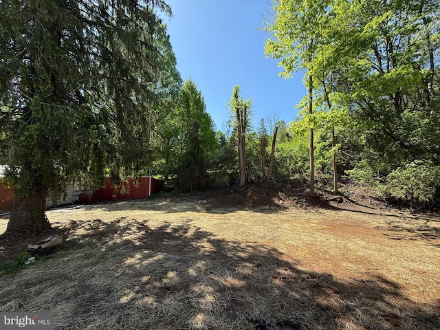 159 Rudloff Ln, Mohnton, PA 19540 - view of yard