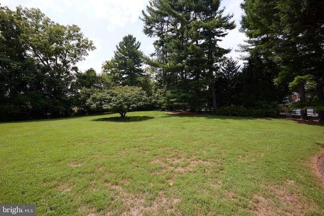 view of yard