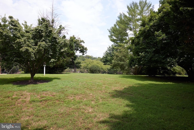 view of yard