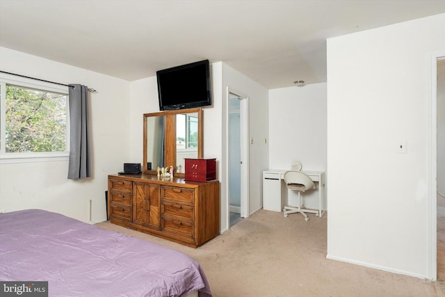 bedroom with light colored carpet