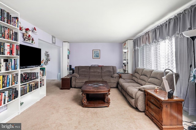 view of carpeted living area