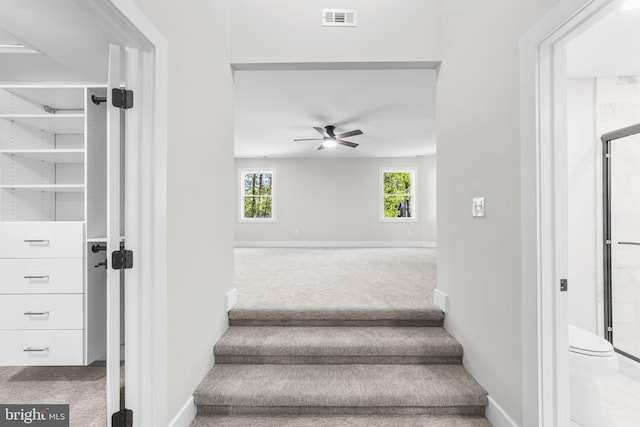 stairway with carpet floors, a ceiling fan, baseboards, and visible vents