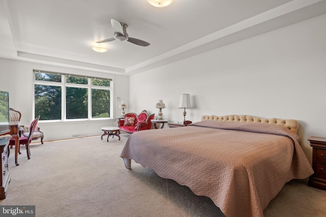 23 Deerfield Rd, Lancaster, PA 17603 - carpeted bedroom with baseboards, visible vents, and a raised ceiling