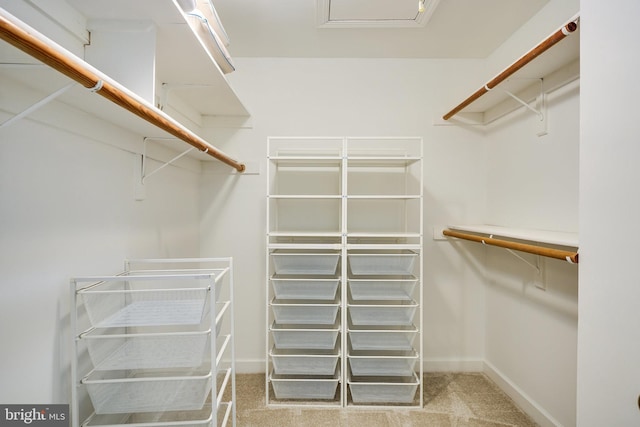 6732 Baron Rd, Mclean, VA 22101 - walk in closet featuring carpet