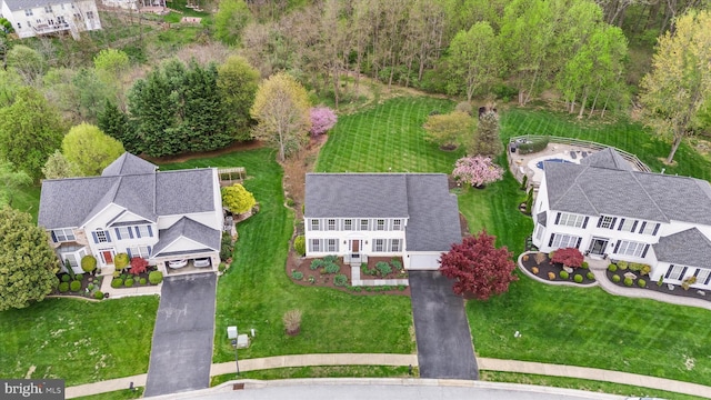 drone / aerial view
