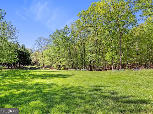 11 Spearpoint Ln, Hedgesville, WV 25427 - view of yard
