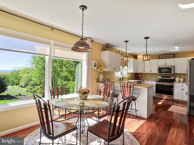 11 Spearpoint Ln, Hedgesville, WV 25427 - dining room featuring baseboards, dark wood-style floors, and plenty of natural light